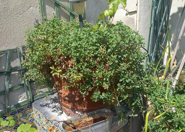 Duplex Terrasse Coeur De Montorgueil *