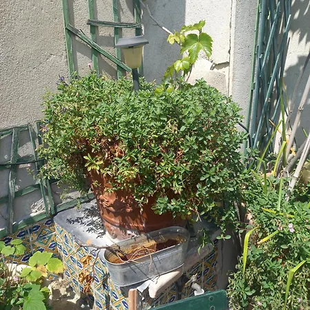 Duplex Terrasse Coeur De Montorgueil *